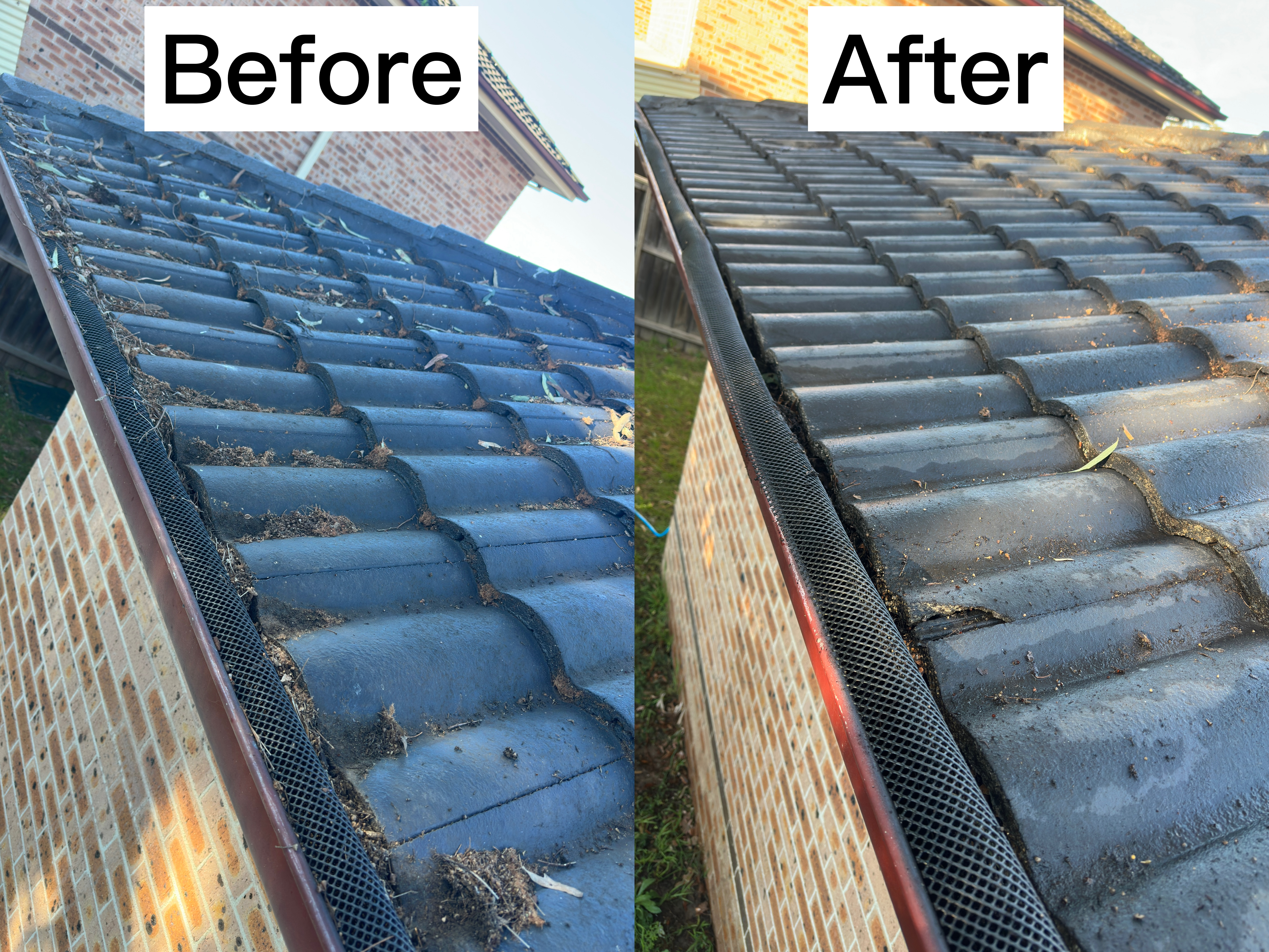 Cleaned gutters and downpipes in Toongabbie by WestClean