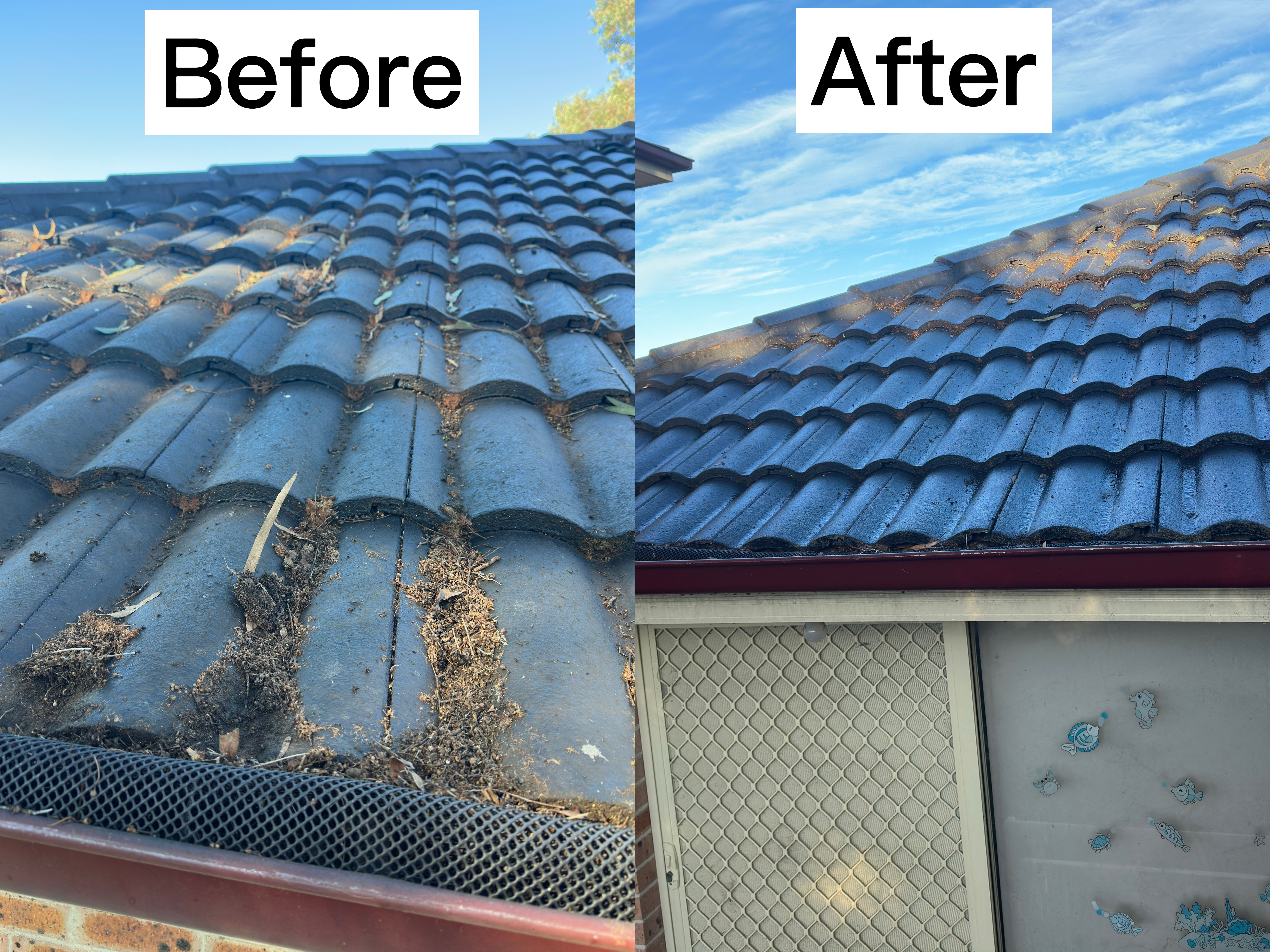 Blocked gutters full of leaves in Toongabbie before cleaning