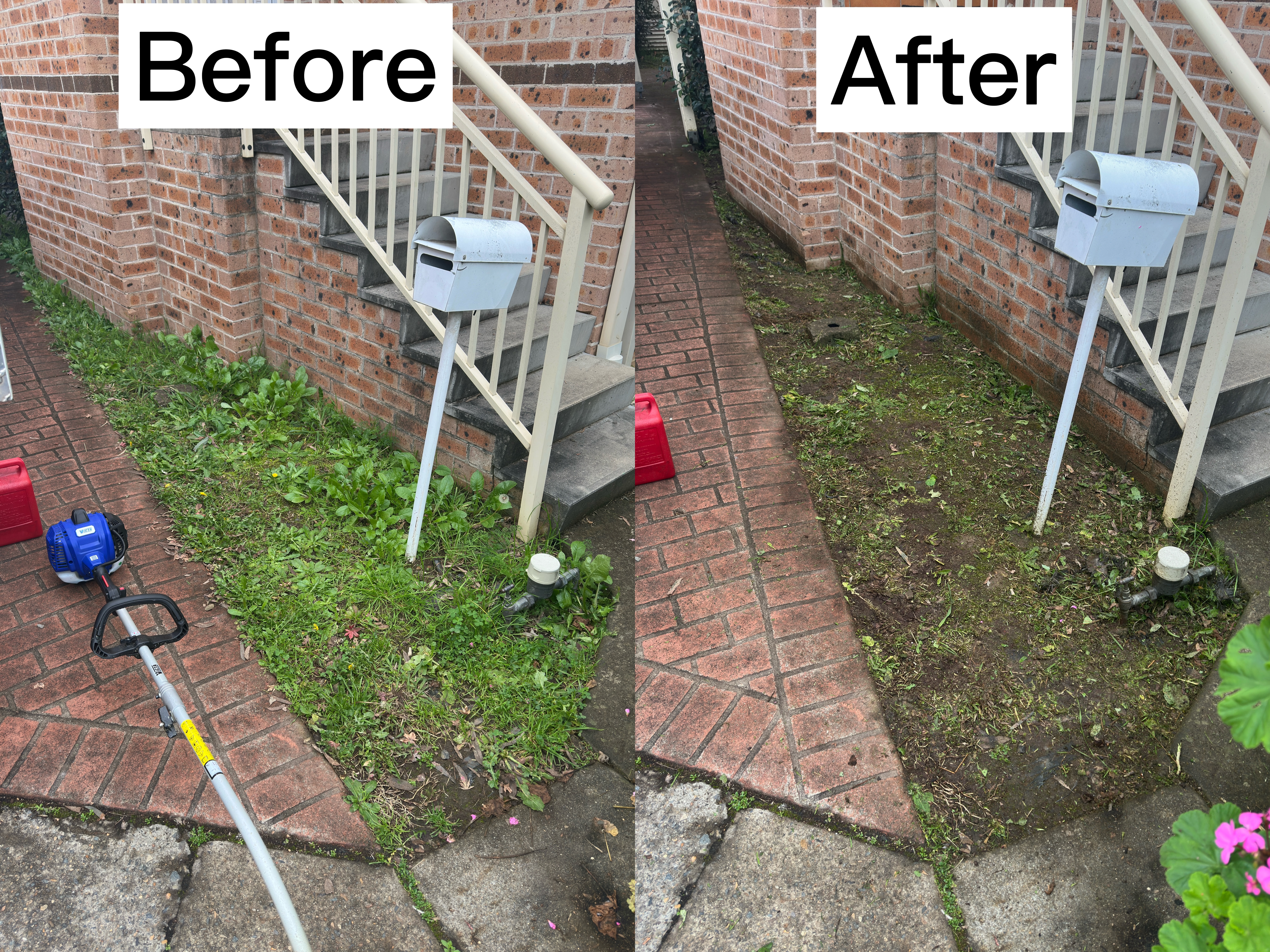 Neat striped lawn mowing and edging in Toongabbie