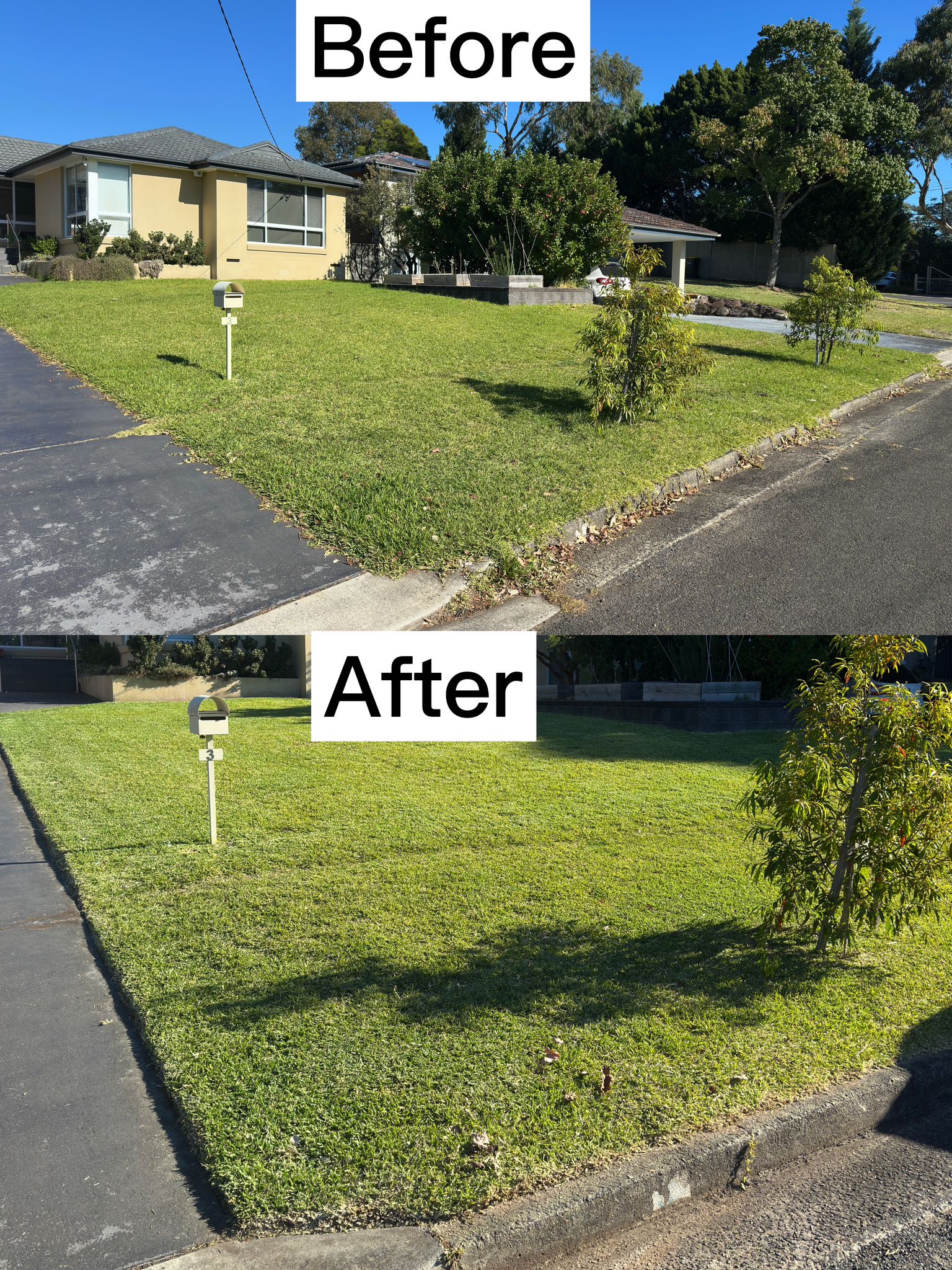 Expert lawn mowing and precision edge trimming service in Penrith NSW by WestClean