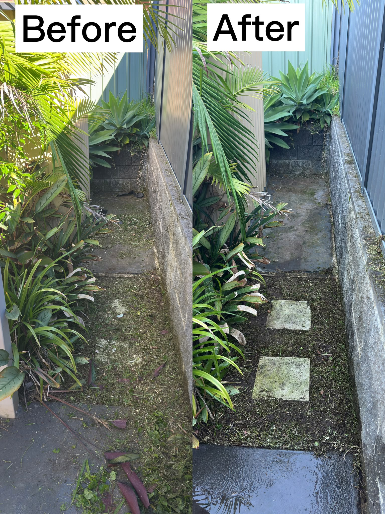 Side passage clearing, weeding, and pebble detailing in Baulkham Hills